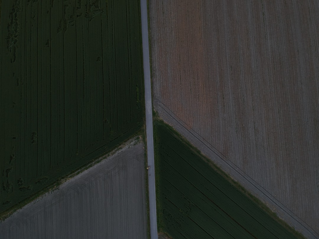 Find a Mobile Tyre Shop Near Me for Convenient and Quick Service